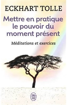 Mettre en pratique le pouvoir du moment present 9782290020210 Mettre en pratique le pouvoir du moment present 9782290020210