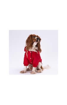Adonis Kırmızı Mont Köpek Yağmurluğu, Küçük-büyük Irklar Xl Açık Gri Adonis Kırmızı Mont Köpek Yağmurluğu, Küçük-büyük Irklar Xl Açık Gri