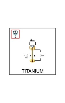 %100 G23 Titanyum Tek Taş Disk Titanyum Kıkırdak Tragus Labret Piercing Beyaz Altın %100 G23 Titanyum Tek Taş Disk Titanyum Kıkırdak Tragus Labret Piercing Beyaz Altın