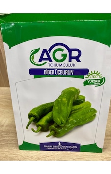 Agr Köy Biberi Üç Burun Mazamort Tohumu Biber Agr Köy Biberi Üç Burun Mazamort Tohumu Biber