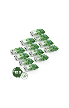 Dex Aloe Vera Islak Havlu 12 Adet 120'li Dex Aloe Vera Islak Havlu 12 Adet 120'li