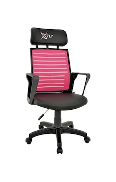 Xfly Plastik Ayaklı Oyuncu Koltuğu-Pembe File-2390C0548 Xfly Plastik Ayaklı Oyuncu Koltuğu-Pembe File-2390C0548