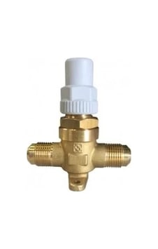Blue Blr-6410/2 1/4'' Rakorlu Capped Valf Ara Vana