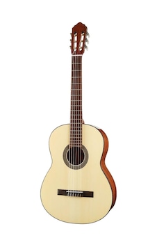 Cort Ac100sg Klasik Gitar Başlangıç Seviye Ladin Kapak, Gelen Cort Ac100sg Klasik Gitar Başlangıç Seviye Ladin Kapak, Gelen
