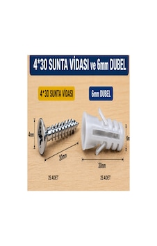 Vida Dubel Seti 6mm Dubel 4x30 Vida Diğer Vida Dubel Seti 6mm Dubel 4x30 Vida Diğer