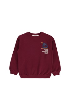 Silversun Kids Silversun Ocean Baskılı 8-13 Yaş Sweatshirt - Bordo Silversun Kids Silversun Ocean Baskılı 8-13 Yaş Sweatshirt - Bordo