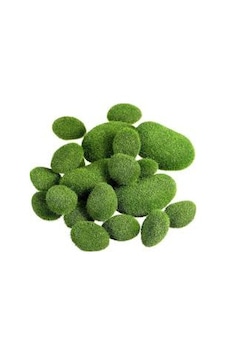 Yosun Topu Moss Ball 1 Ad Çap 2 Cm Yosun Topu Moss Ball 1 Ad Çap 2 Cm