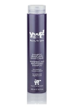 Yuup Home Line Beyaz Tüylü Kedi Ve Köpek Parlatıcı Şampuan 250 Ml Yuup Home Line Beyaz Tüylü Kedi Ve Köpek Parlatıcı Şampuan 250 Ml