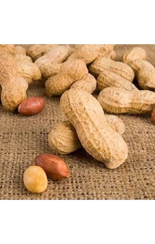 Kabuklu Fıstık (2 KG ) Kabuklu Fıstık (2 KG )