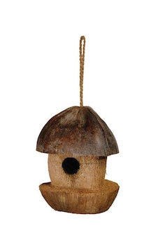 Hindistan Cevizi Kabuğundan Doğal Kuş Yuvası 20x16cm Hindistan Cevizi Kabuğundan Doğal Kuş Yuvası 20x16cm
