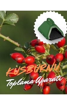 Kuşburnu Toplama Aparatı Metal Tırnaklı Plastik Bsr Garden Kuşburnu Toplama Aparatı Metal Tırnaklı Plastik Bsr Garden