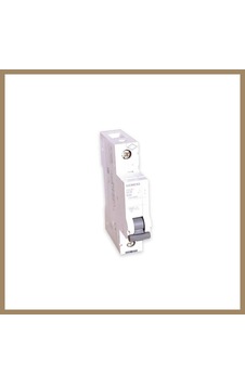 Bezos B40 1 Kutuplu N-otomat 1 Adet 22 Bezos B40 1 Kutuplu N-otomat 1 Adet 22