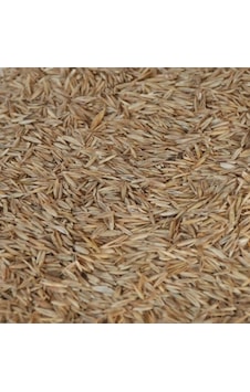 Aktar Store Çim Tohumu 1 Kg Aktar Store Çim Tohumu 1 Kg