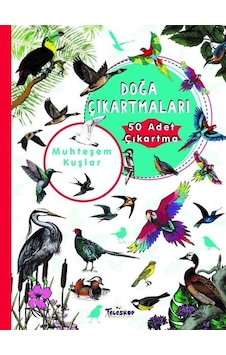 Muhteşem Kuşlar - Doğa Çıkartmaları- Teleskop Popüler Bilim Muhteşem Kuşlar - Doğa Çıkartmaları- Teleskop Popüler Bilim