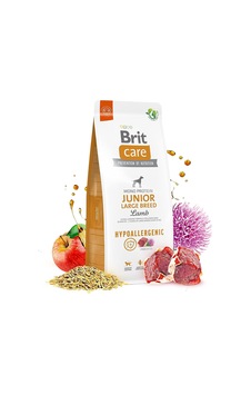 Care Junior Large Breed, Büyük Irk - Genç Köpekler İçin, Tek Proteinli, Hipoalerjenik, Kuzu Etli Kuru Mama, 3 Kg