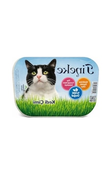 %100 Doğal Fileli Kedi Çimi - Tüy Yumağı Önleyici %100 Doğal Fileli Kedi Çimi - Tüy Yumağı Önleyici