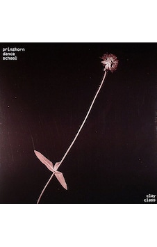 Prinzhorn Dance School - Clay Class , Lp New Wave Prinzhorn Dance School - Clay Class , Lp New Wave