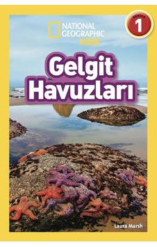 Gelgit Havuzları Sku: Zeusstk8f68fbf8c1