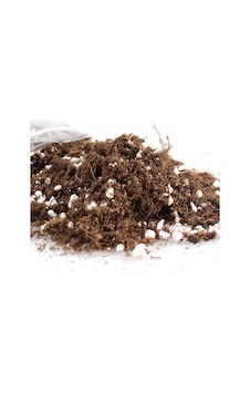 1 L Bonsai Ağacı Toprağı Bonzai Ağacı Toprağı Toprak Torf 1 L Bonsai Ağacı Toprağı Bonzai Ağacı Toprağı Toprak Torf