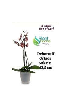 Dekoratif Şeffaf Orkide Saksısı - 4 Adet Set - 12 Pot Üretim Saksısına Uygun Kaliteli Ürün Dekoratif Şeffaf Orkide Saksısı - 4 Adet Set - 12 Pot Üretim Saksısına Uygun Kaliteli Ürün
