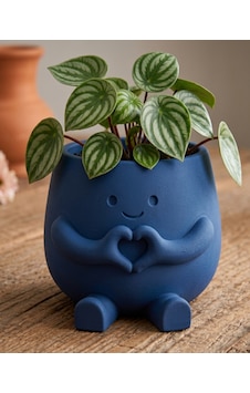 Utanan Karakterli Dekoratif Saksı Modern Ev Dekoru Dekoratif Masa Ve Ev Saksısı Mavi Utanan Karakterli Dekoratif Saksı Modern Ev Dekoru Dekoratif Masa Ve Ev Saksısı Mavi