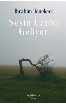 Sesin Üzgün Geliyor / İbrahim Tenekeci Sesin Üzgün Geliyor / İbrahim Tenekeci