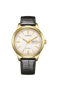 Cıtızen Ny4059-09ac Kol Saati Metalik Cıtızen Ny4059-09ac Kol Saati Metalik