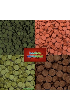 Tropical Tablet Yem Paketi 5 Çeşit Tropical Tablet Yem 250 Adet Tropical Tablet Yem Paketi 5 Çeşit Tropical Tablet Yem 250 Adet