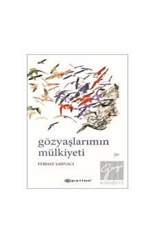 Gözyaşlarımın Mülkiyeti - Ferhat Şahnacı - Epsilon Yayınevi Gözyaşlarımın Mülkiyeti - Ferhat Şahnacı - Epsilon Yayınevi