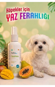 Reflex Care Tropikal Kokulu Köpek Kolonyası 125 Ml Reflex Care Tropikal Kokulu Köpek Kolonyası 125 Ml
