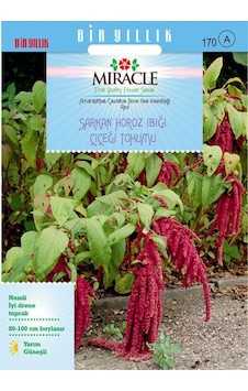 Miracle Sarkan Kırmızı Amaranthus Horoz İbiği Çiçeği Tohumu 15 Miracle Sarkan Kırmızı Amaranthus Horoz İbiği Çiçeği Tohumu 15