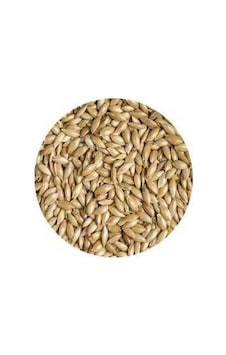 Aspur Sade Kanarya Yemi 1 KG