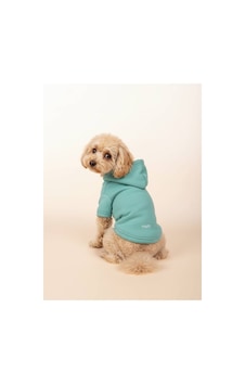 Kapüşonlu Kedi Köpek Kıyafeti Sweatshirt Hoodie Evcil Hayvan Giysisi Kapüşonlu Kedi Köpek Kıyafeti Sweatshirt Hoodie Evcil Hayvan Giysisi