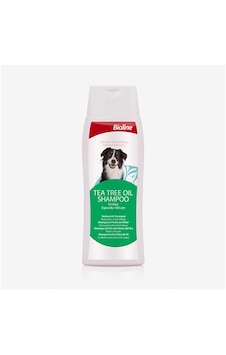 Bioline Tea Tree Oil Şampuan Csmtex - 13 250 Ml Bioline Tea Tree Oil Şampuan Csmtex - 13 250 Ml