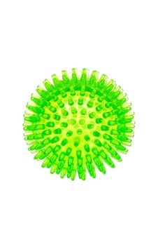 Ferplast Pa 6414 Kauçuk Dikenli Top 8 CM Ferplast Pa 6414 Kauçuk Dikenli Top 8 CM