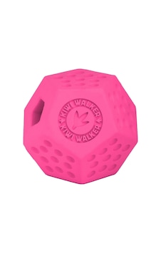 Kiwi Walker Dayanıklı Yüzen Köpek Oyuncağı Dodecaball Midi Kiwi Walker Dayanıklı Yüzen Köpek Oyuncağı Dodecaball Midi