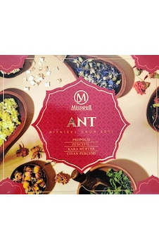 Misswell Ant Set Misswell Ant Set