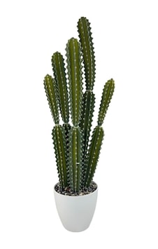 Yapay Kaktüs Ağacı 8köşe 5gövde Büyük Boy - Beyaz Saksıda Yapay Bitki 85 35cm Yeşil Yapay Kaktüs Ağacı 8köşe 5gövde Büyük Boy - Beyaz Saksıda Yapay Bitki 85 35cm Yeşil