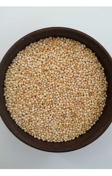 Muhabbet Kuşu Ak Darı - Hint Bülbülü Yemi 10 KG Muhabbet Kuşu Ak Darı - Hint Bülbülü Yemi 10 KG