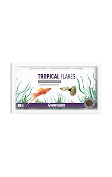 Reeflowers Tropical Flakes Balık Yemi 6  G
