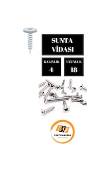 4x18 Sunta Vidası 50 Adet Diğer