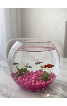 Mucit Home Kırmızı Pembe Karışık Fanus Taşı Akvaryum Balık Taşı