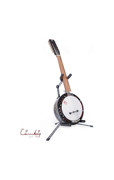 Cümbüş - Erzincan Model