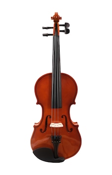 Almeda Avp44 4/4 Ağaç Keman