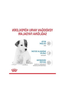 Bebek Köpek Sütü, 400 Gr, Büyüme Desteği 100 G Bebek Köpek Sütü, 400 Gr, Büyüme Desteği 100 G