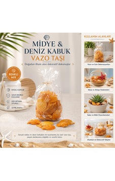 Poşetli Renkli Mix Midye - Deniz Kabuk Vazo Taşı 5705 Çok Renkli Poşetli Renkli Mix Midye - Deniz Kabuk Vazo Taşı 5705 Çok Renkli