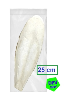 Kalamar Kemiği Dev Boy 25 Cm Kalamar Kemiği Dev Boy 25 Cm