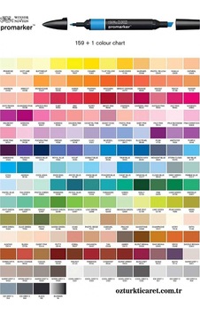 Promarker Çift Uçlu Alkol Bazlı Grafik Çizim Kalemi Pastel Beige 221 Y717