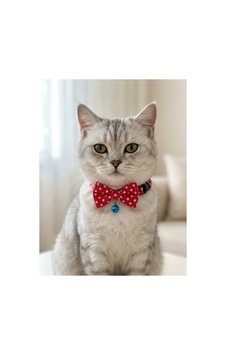 Papyonlu Kedi Boyun Tasması Ayarlanabilir Papyon Fiyonk Zilli Kırmızı Papyonlu Kedi Boyun Tasması Ayarlanabilir Papyon Fiyonk Zilli Kırmızı