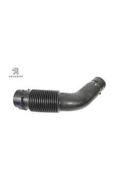 Hava Gir Manif Peugeot 9810920980 Hava Gir Manif Peugeot 9810920980